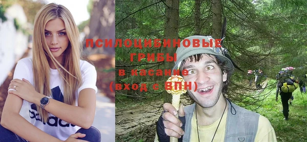 сатива Алзамай