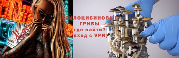 сатива Алзамай
