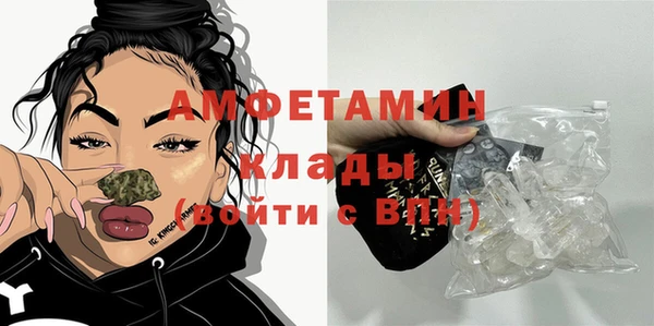 сатива Алзамай