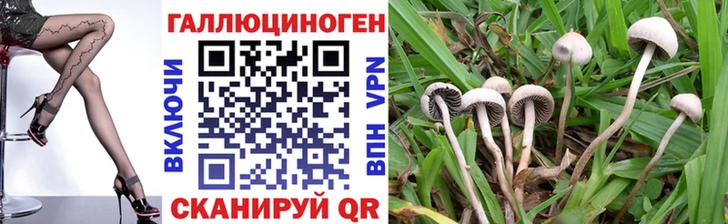 Галлюциногенные грибы мицелий  гидра вход  Сим 