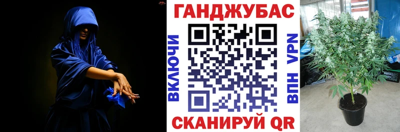 Канабис сатива Сим